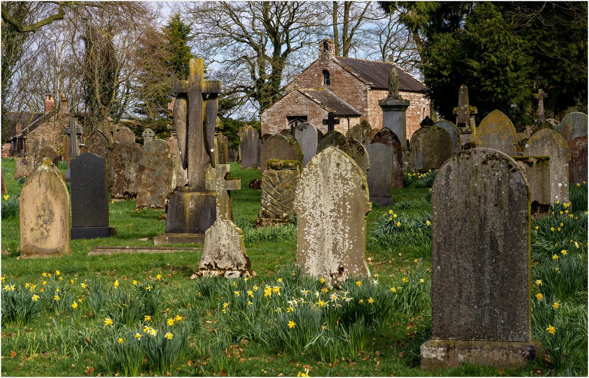 _DSC8761 copy.png