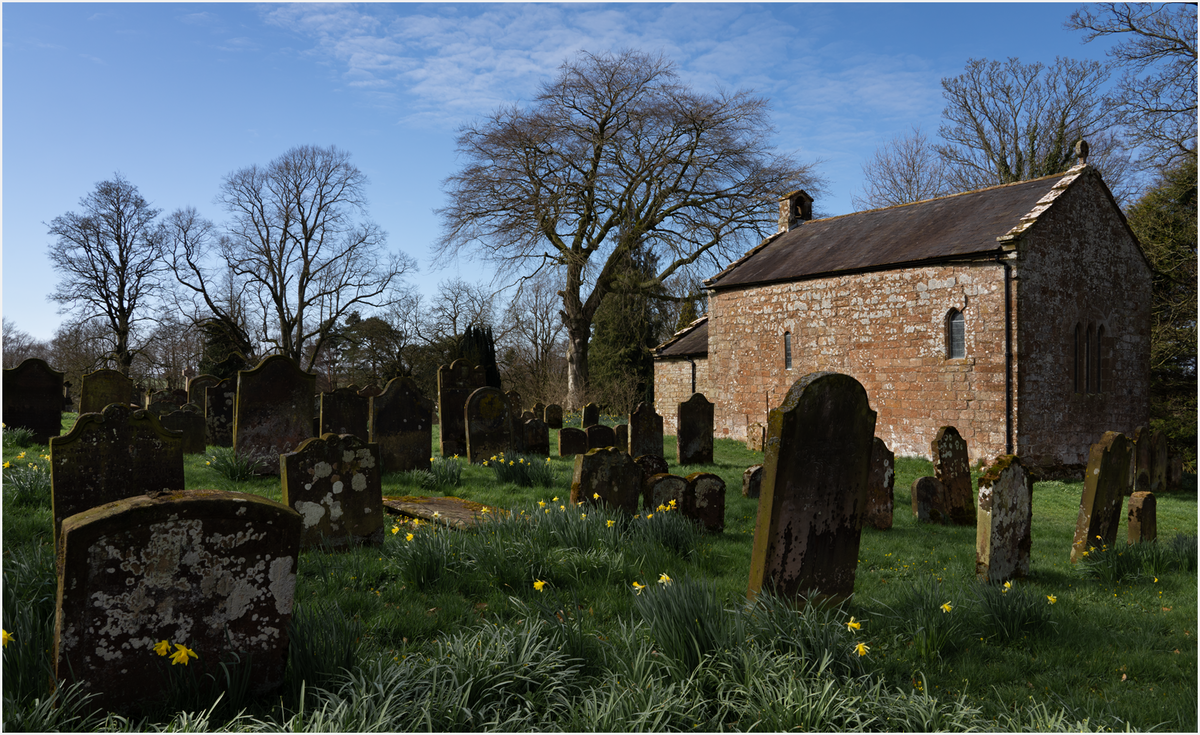 _DSC8764-1 copy.png