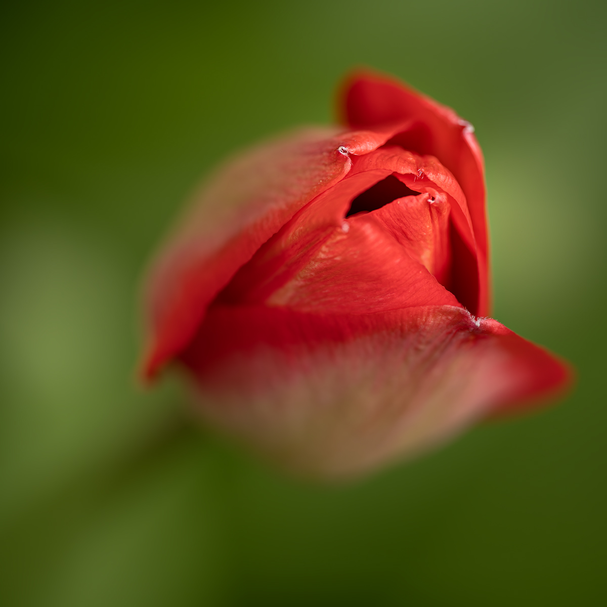 _DSC8776-ARW_DxO_DeepPRIME-1 copy.jpg