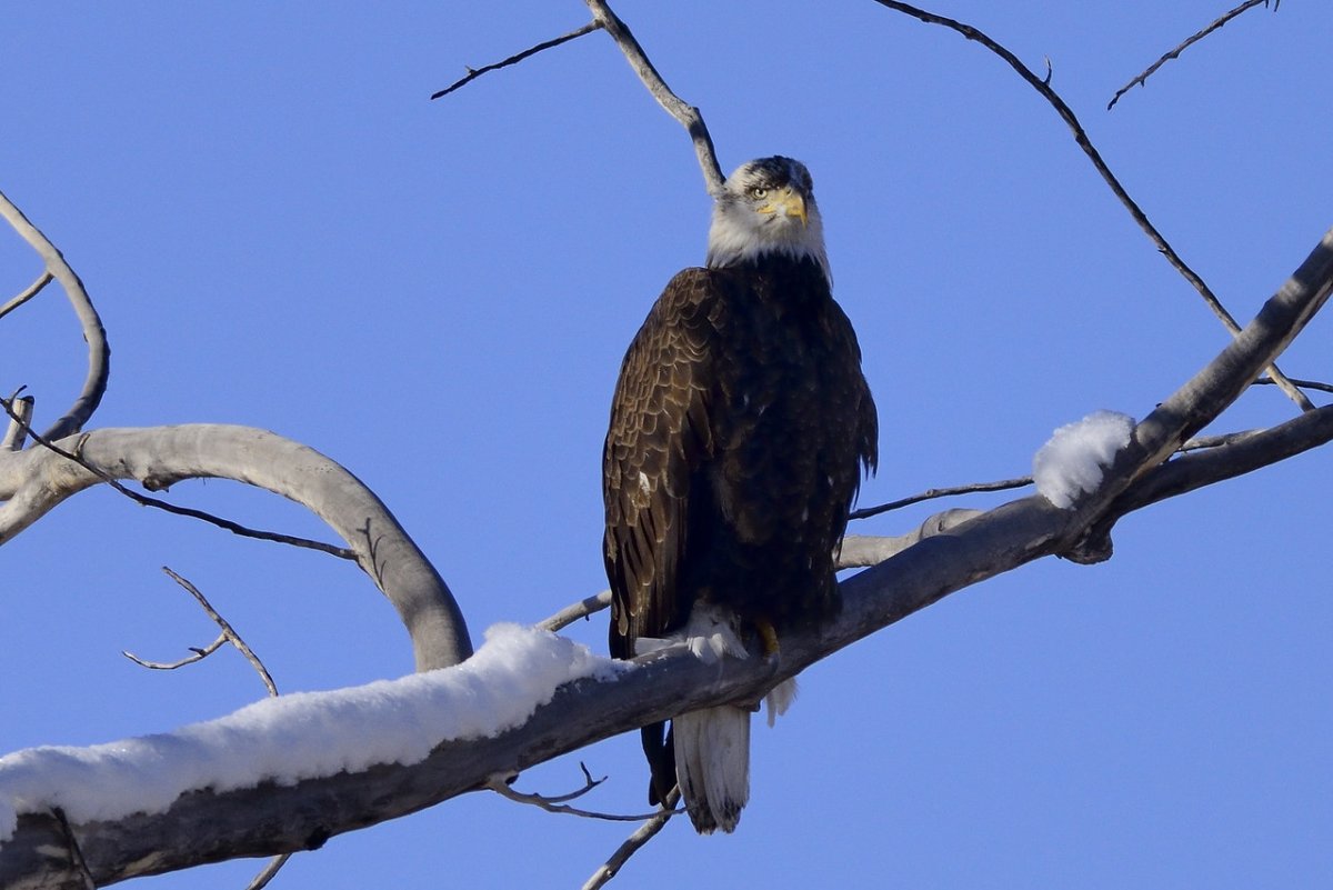 _DSC8804-X2.jpg