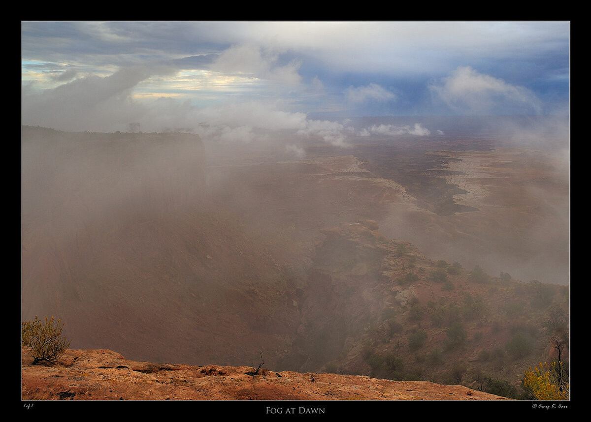 _DSC8841-X2.jpg