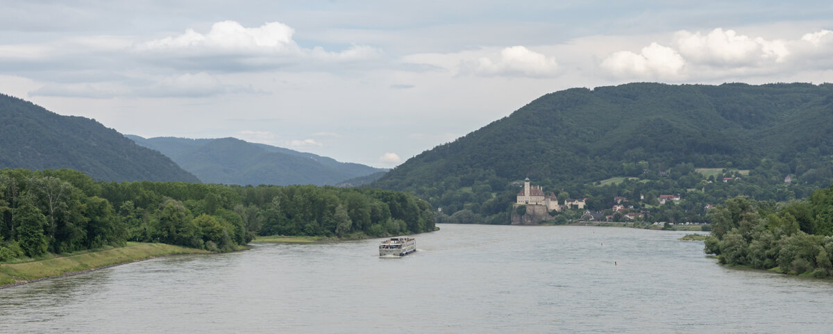 _DSC8917-1 cropped copy.jpg