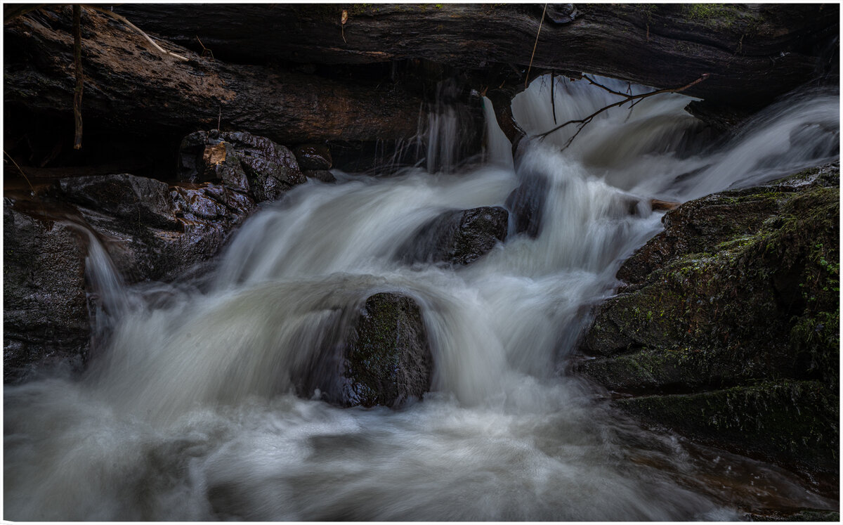 _DSC9039.jpg