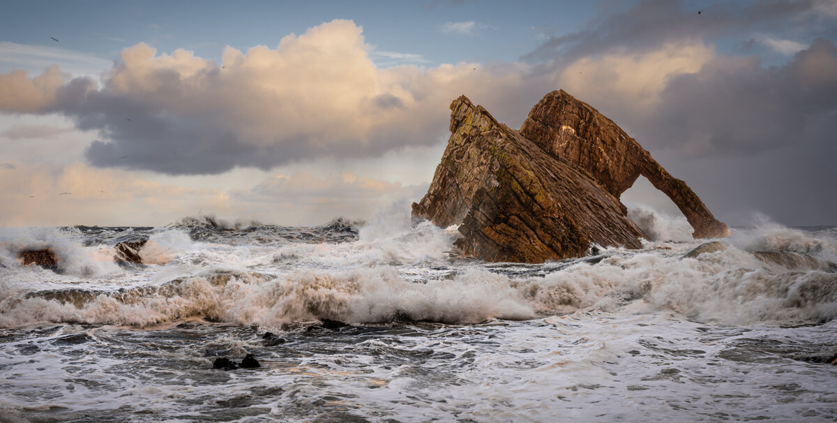 _DSC9308-2 9343 merge copy.jpg