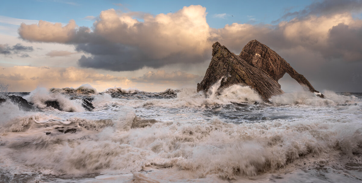 _DSC9343-1 9350 9355 9363 merge copy.jpg