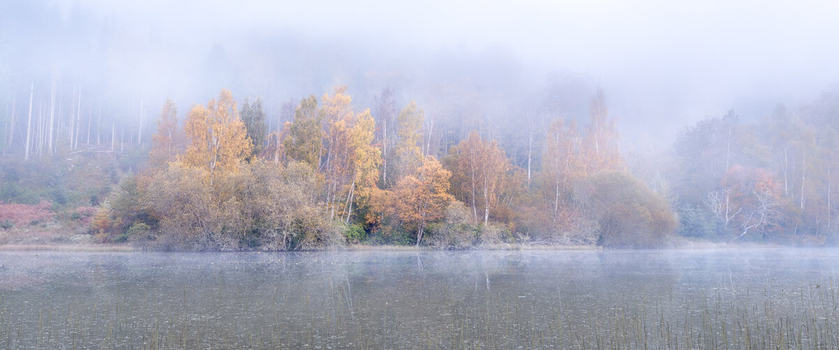 _DSC9503-2 copy (2).jpg