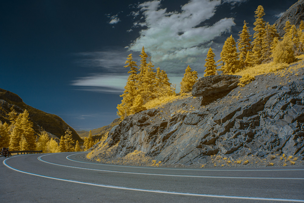 _DSC9519_WBbox_dw.jpg