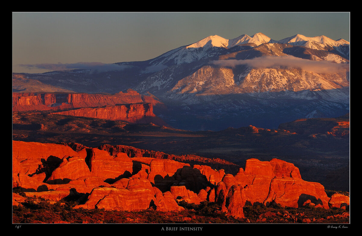 _DSC9611-X2.jpg