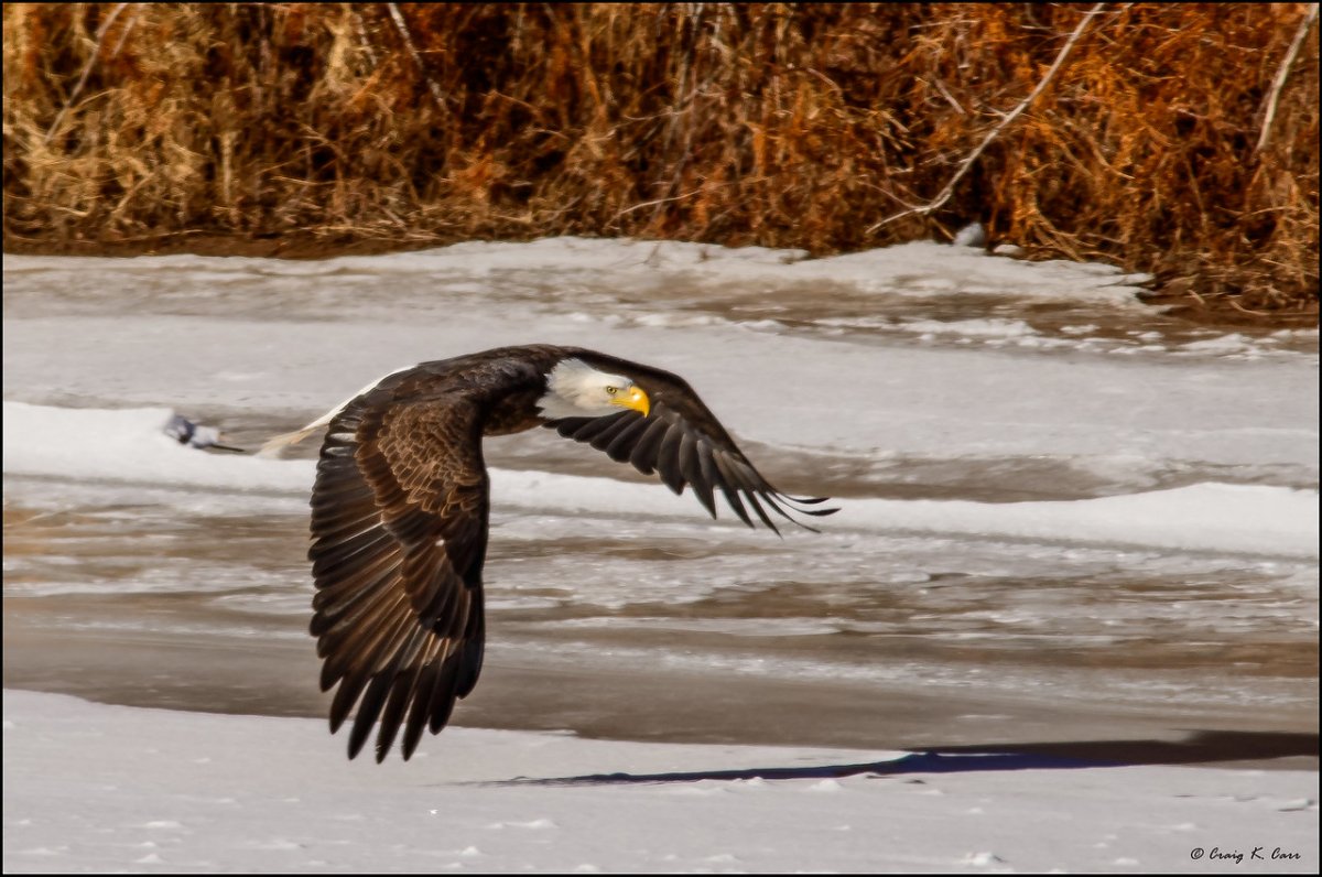 _DSC9660-X2.jpg