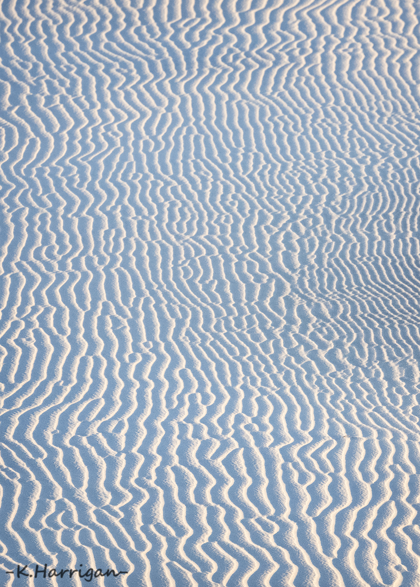 _DSC9726-sharpened.jpg