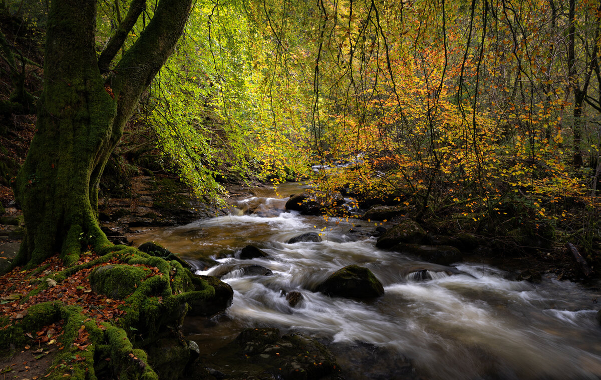 _DSC9810-1 9811 9812 merge copy.jpg