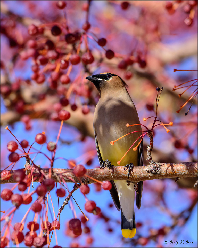 _DSC_D810_001045 as Smart Object-1-X2.jpg