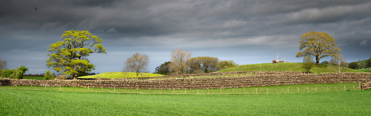 _DSF7001-DxO_DeepPRIME XD2s-1 copy.jpg