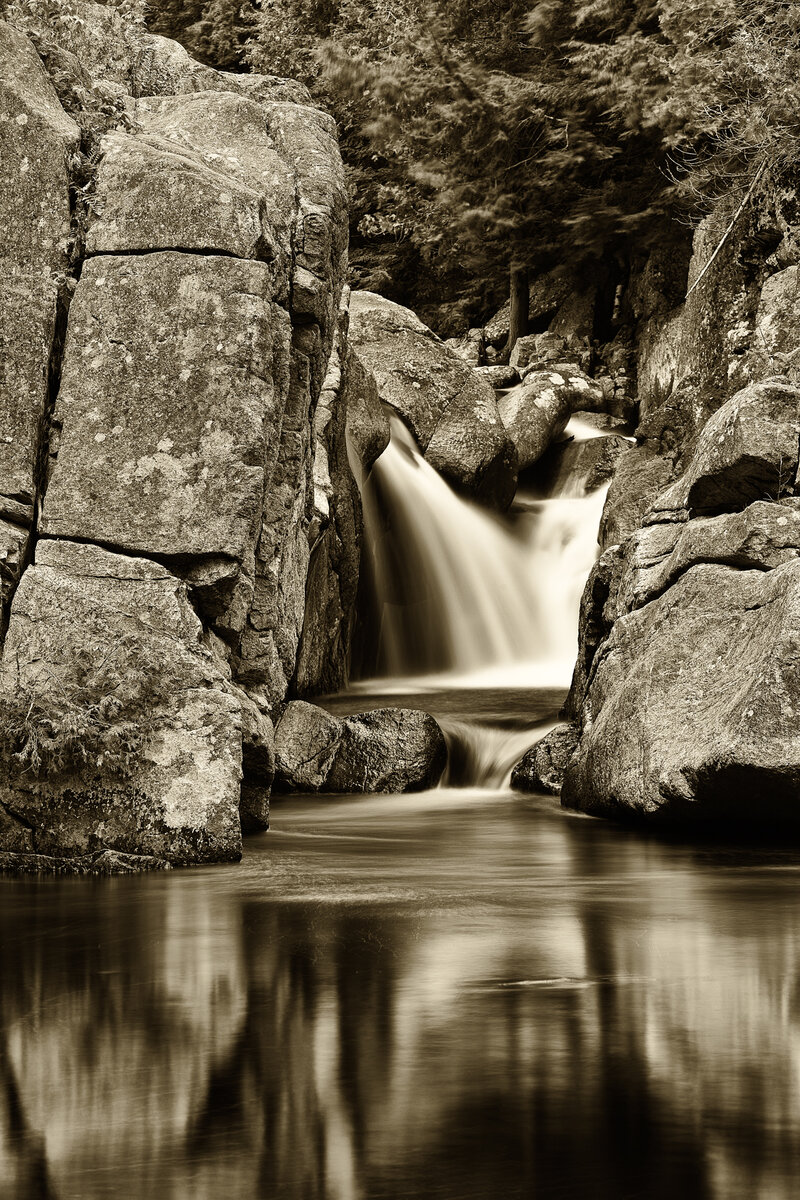 _MG_0980 SHARP-Edit.jpg