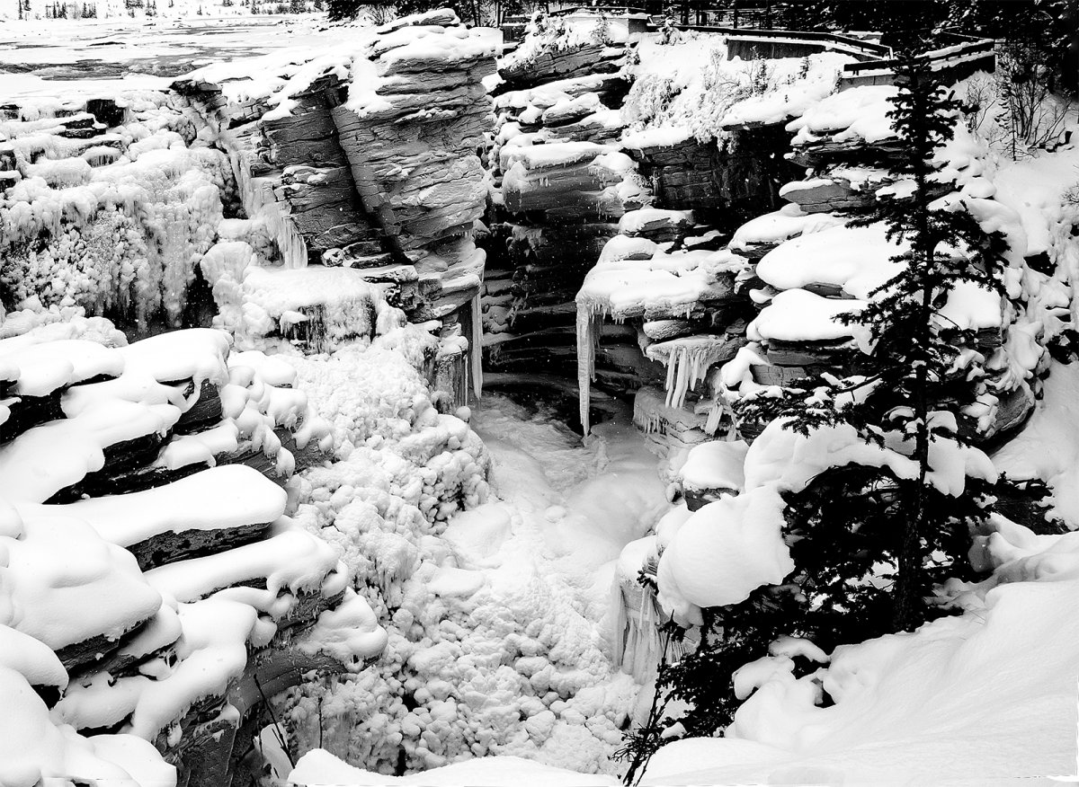 _MG_1075.jpg