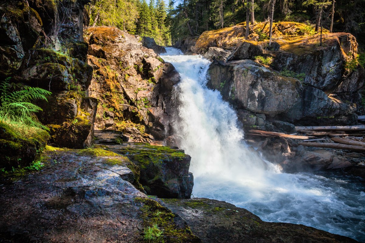 _MG_1195-Edit-3-3.jpg
