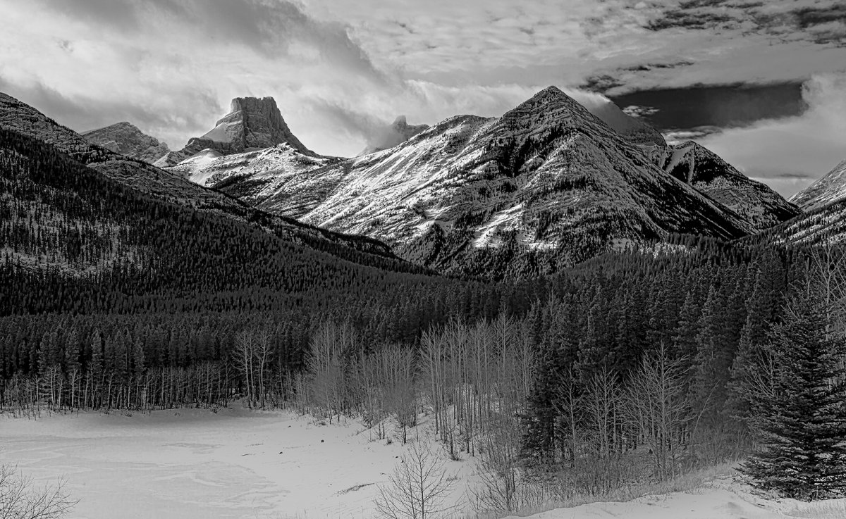 _MG_1259BW.jpg