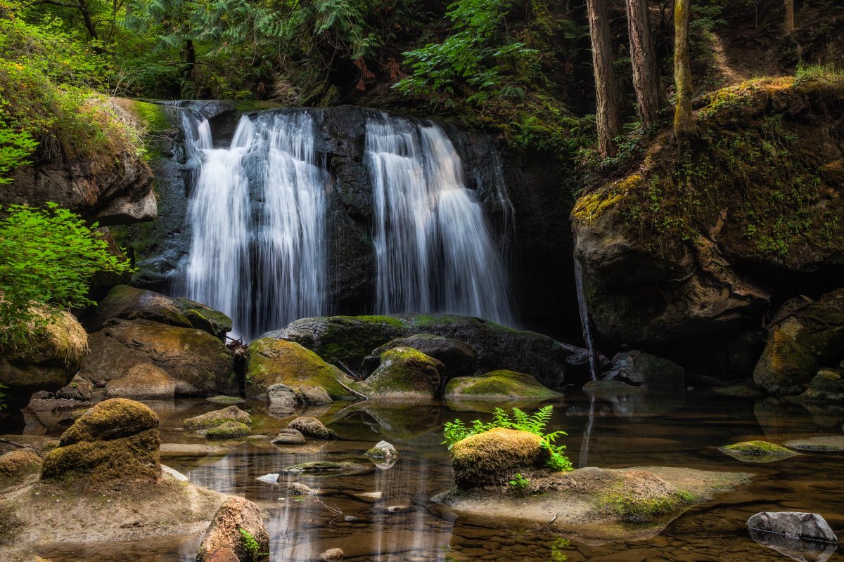 _MG_1411-Edit-4.jpg
