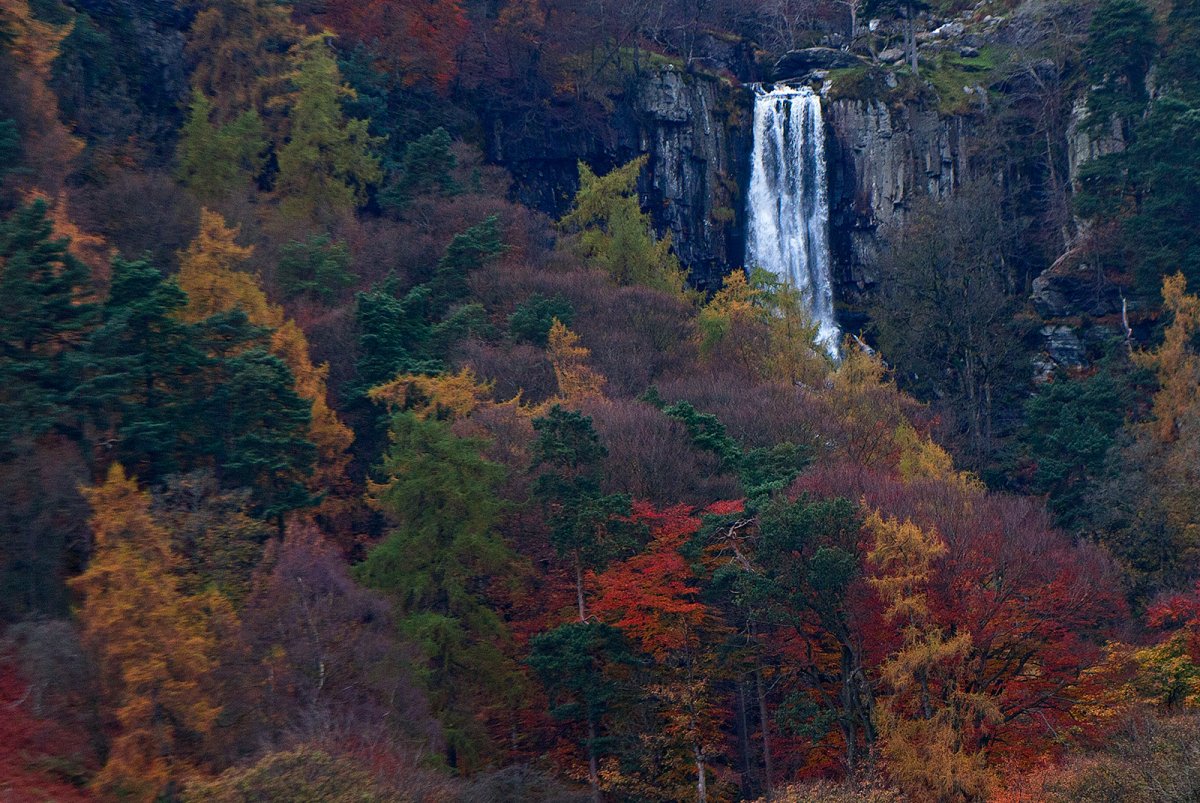_MG_1892Crop.jpg