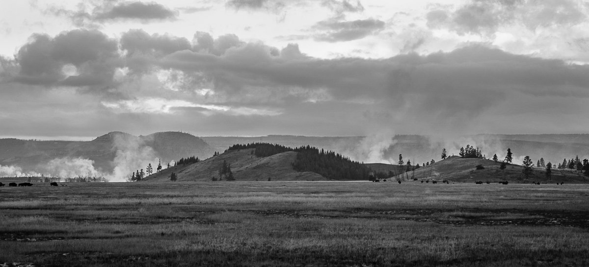 _MG_3106-2.jpg