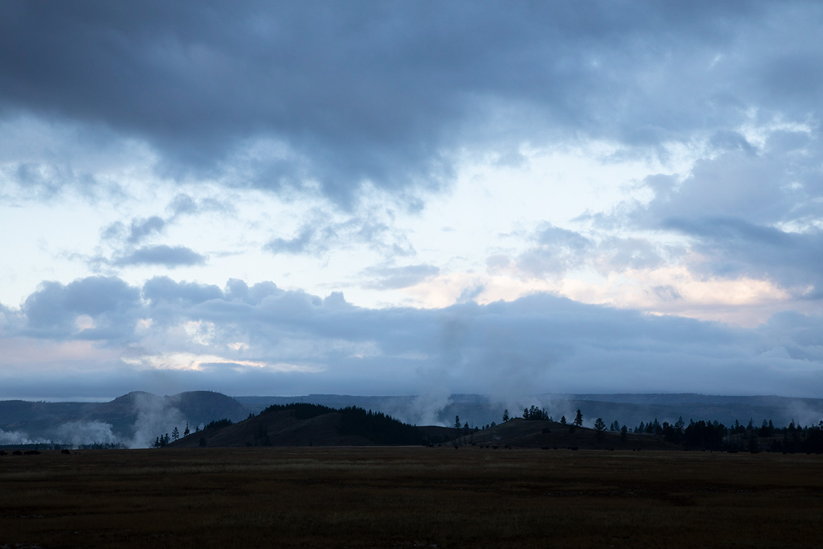 _MG_3106.jpg