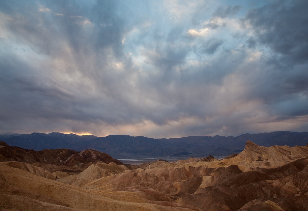 _MG_4488-Edit-2.jpg