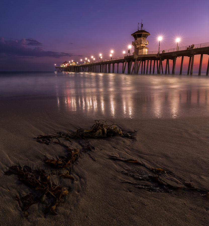 _MG_5810-Edit.jpg