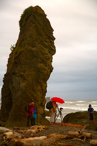 _MG_8882.jpg