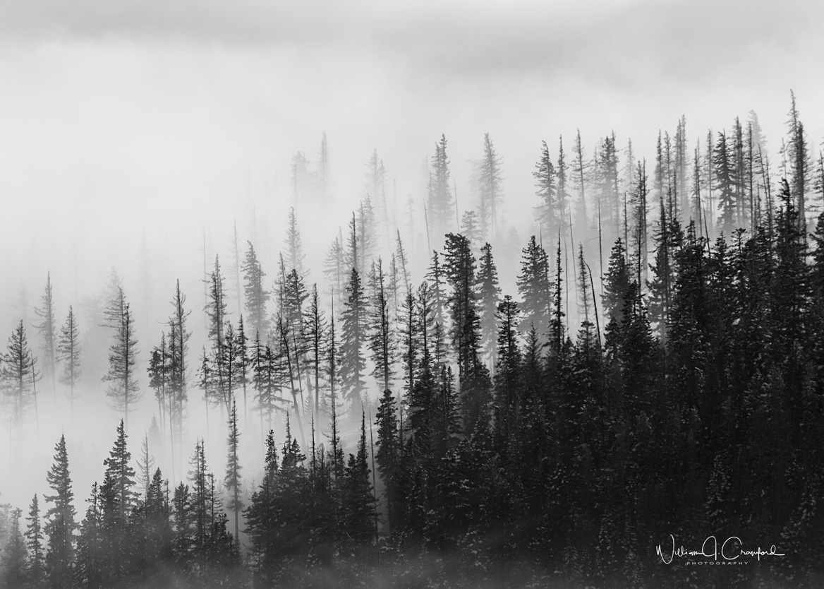 _MPH0570-2-Edit.jpg