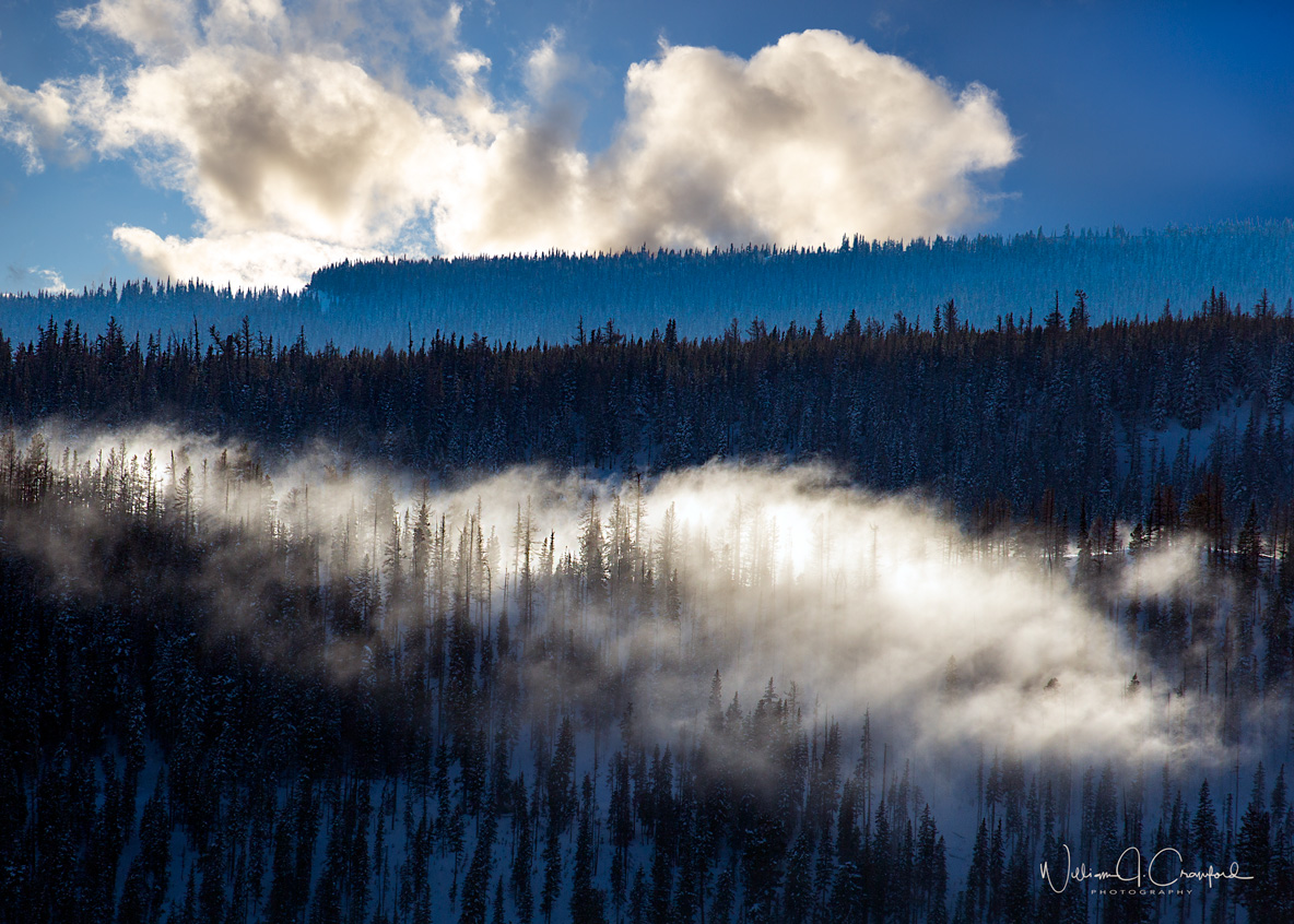 _MPH0571-4.jpg