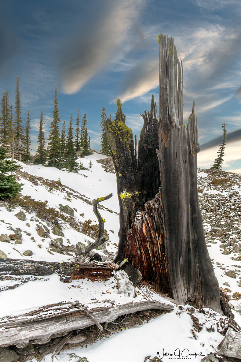 _MPH6437-2.jpg