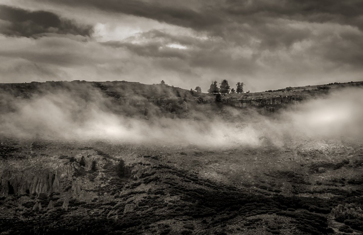 _N2A0587-1 -LRM5 (1 of 1).JPG