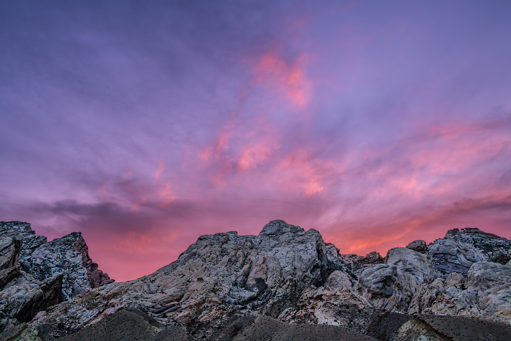 _NZ80254_dw.jpg