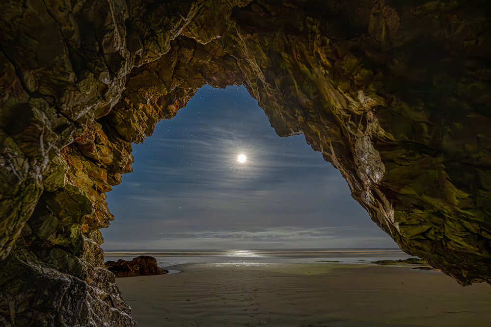 _NZ82068_d1w.jpg