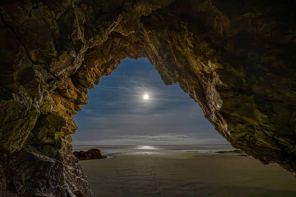 _NZ82068_dw.jpg