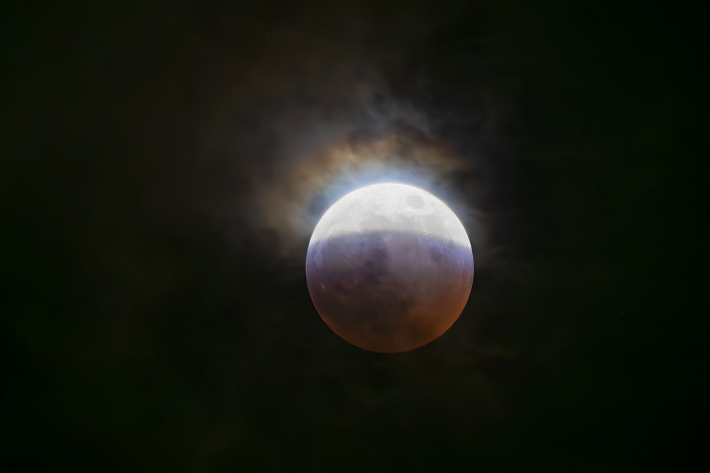 _NZ83430_dw.jpg