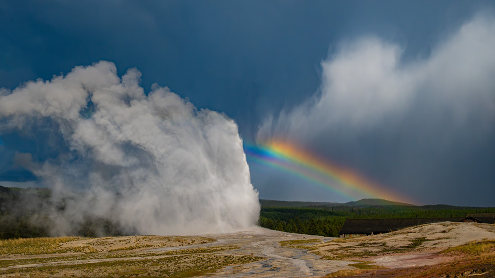 _NZ83602_9x16_dw.jpg