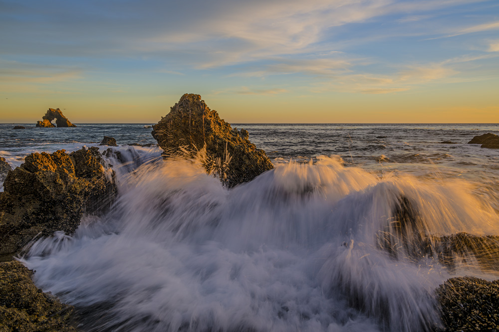_NZ83972_dw.jpg