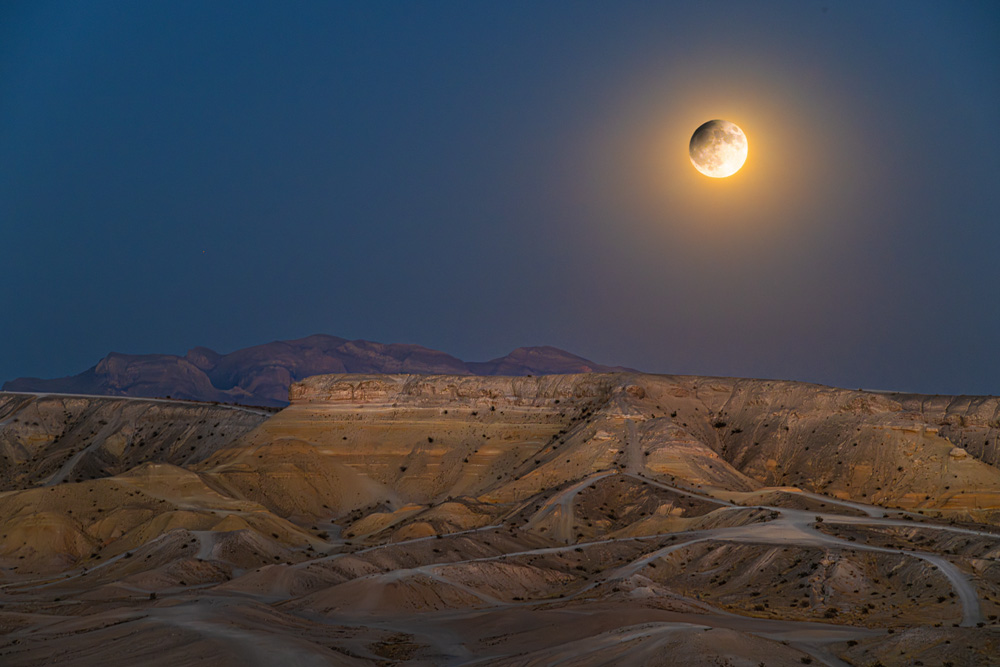 _NZ84614_d3w.jpg