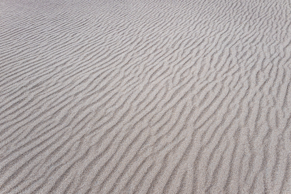 _NZ88182_dw.jpg