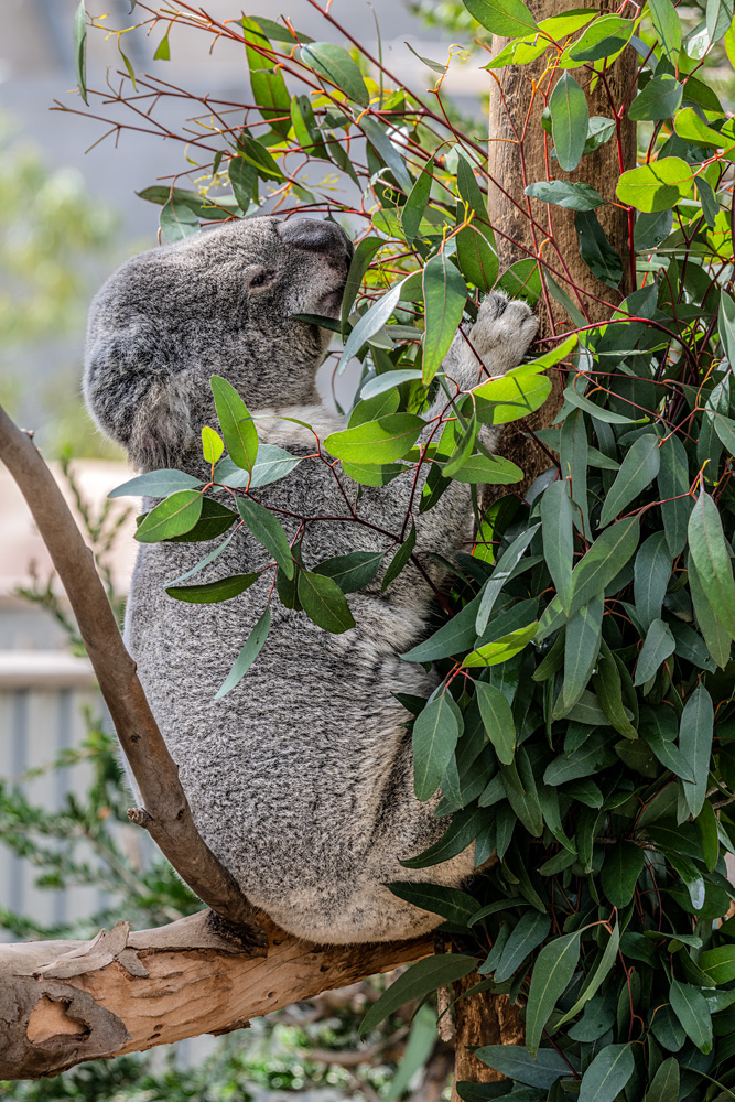 _NZ89914_dw.jpg