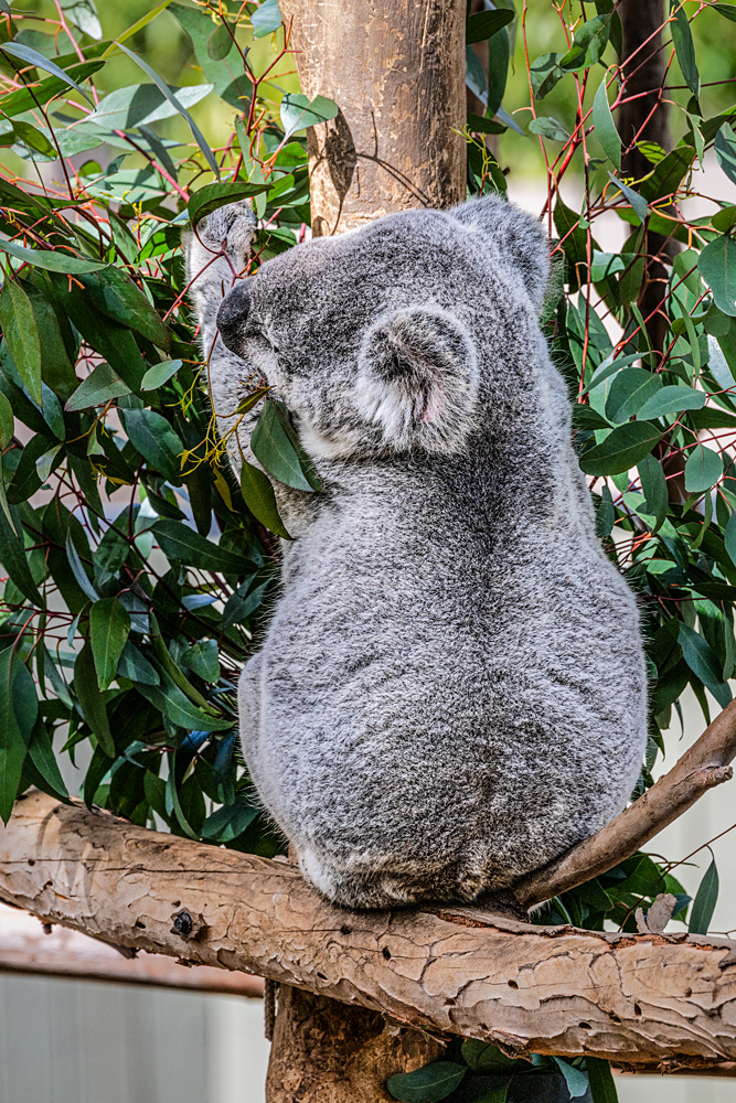 _NZ89985_dw.jpg