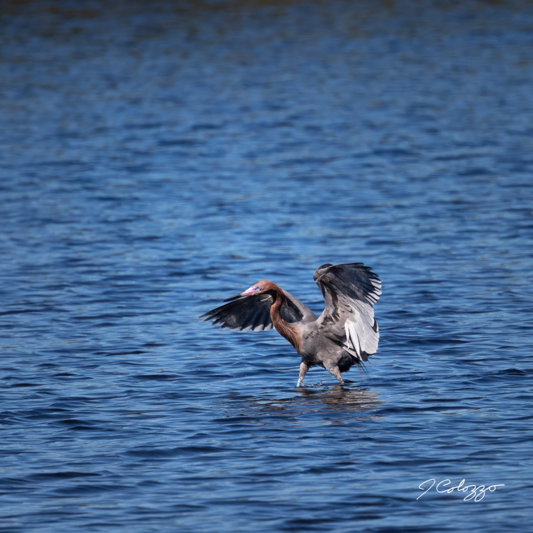 _P3A3021-Edit.jpg