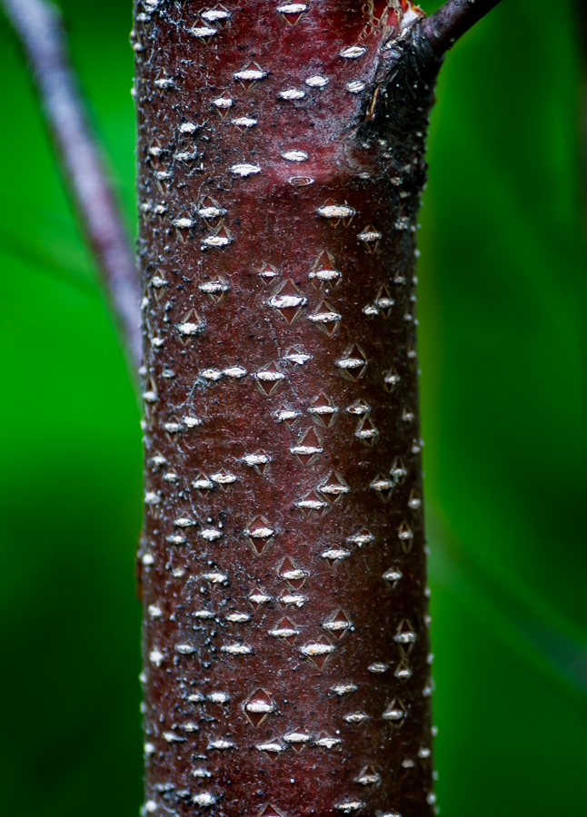 _TW28046.jpg