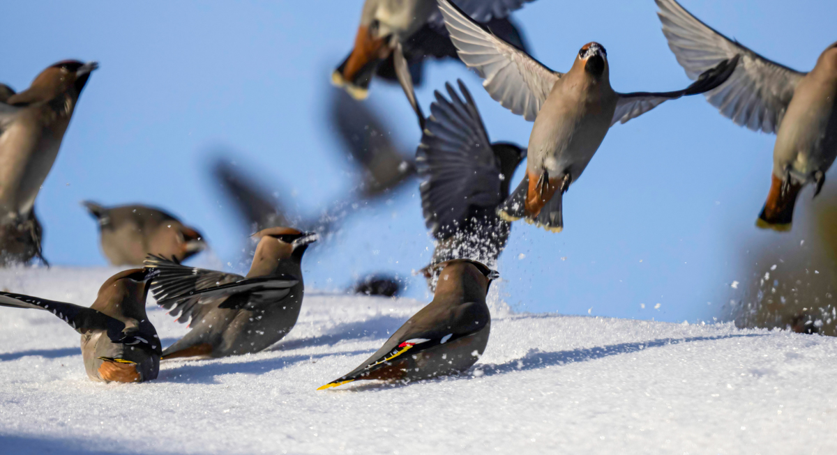 _TWX0760-Edit.jpg
