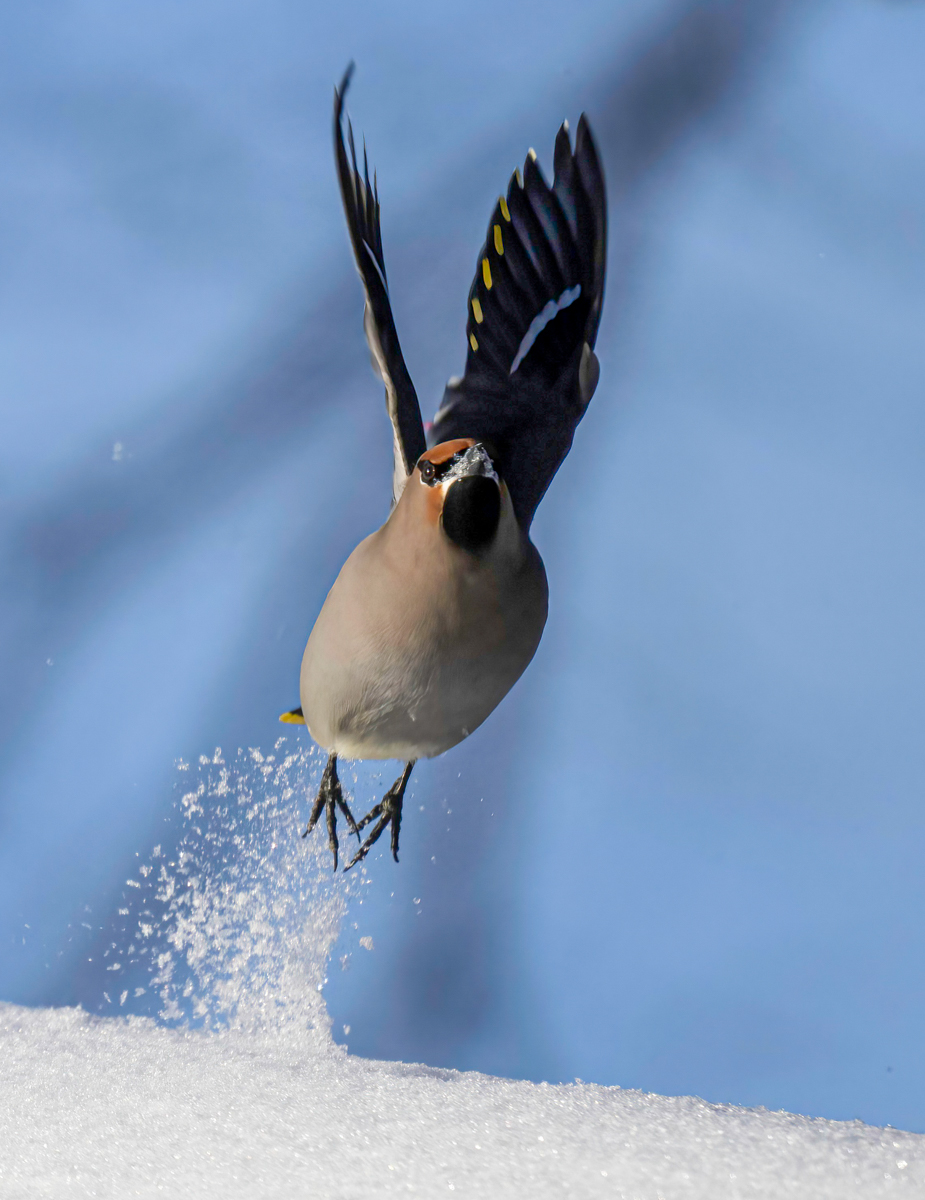_TWX0773-Edit.jpg