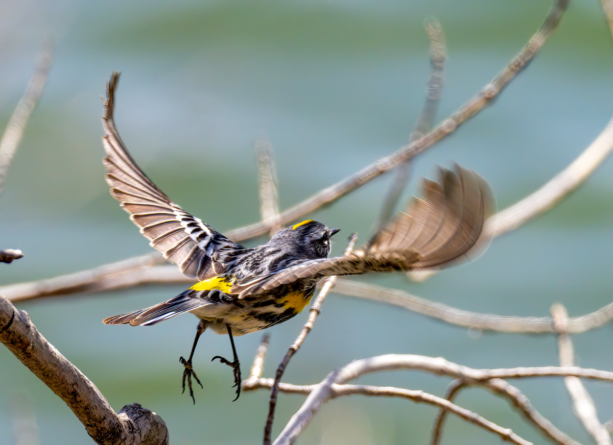 _TWX3545-Edit.jpg