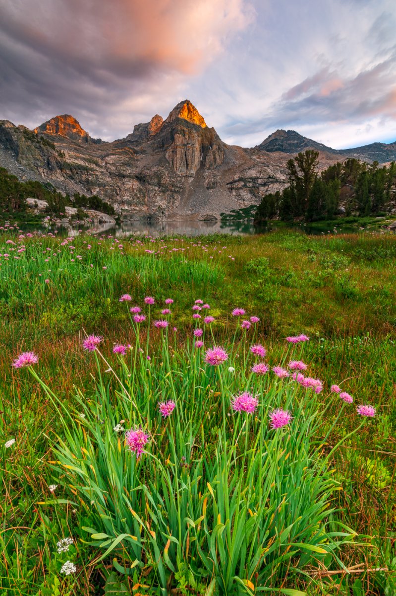 _U1A7002-Edit-2.jpg