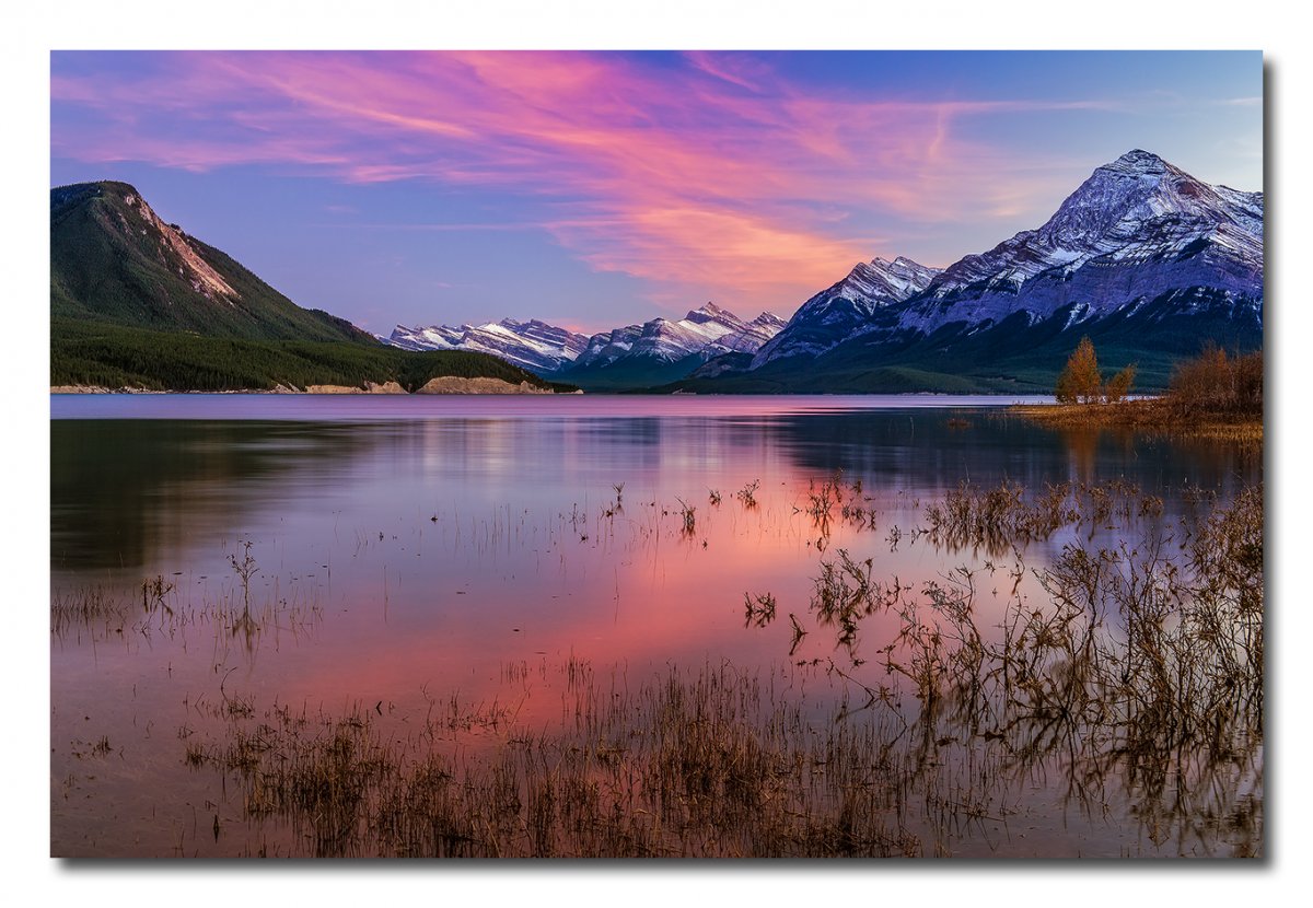 _V1R0863a.jpg