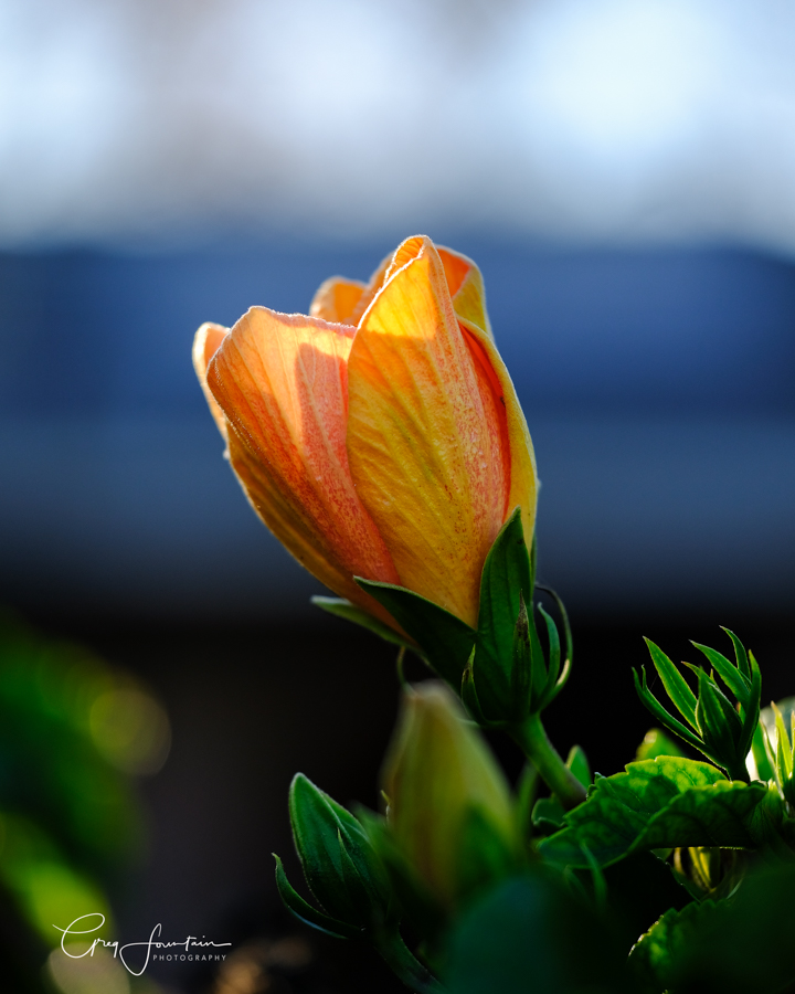 _XT26437-Edit-Edit.jpg
